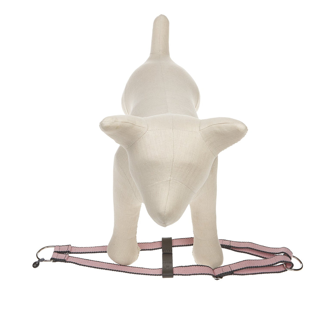 Ring Hundegeschirr Preppy