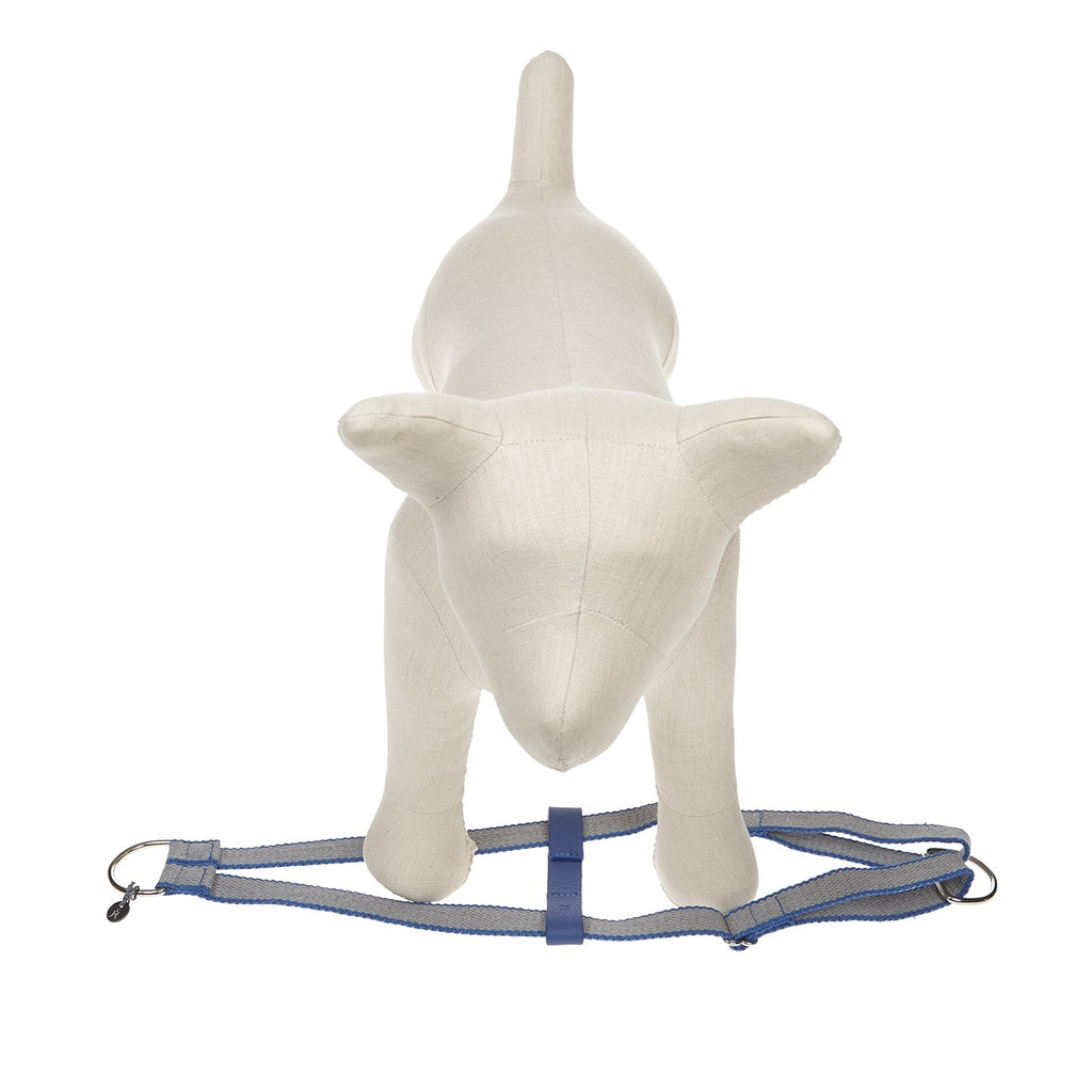 Ring Hundegeschirr Preppy