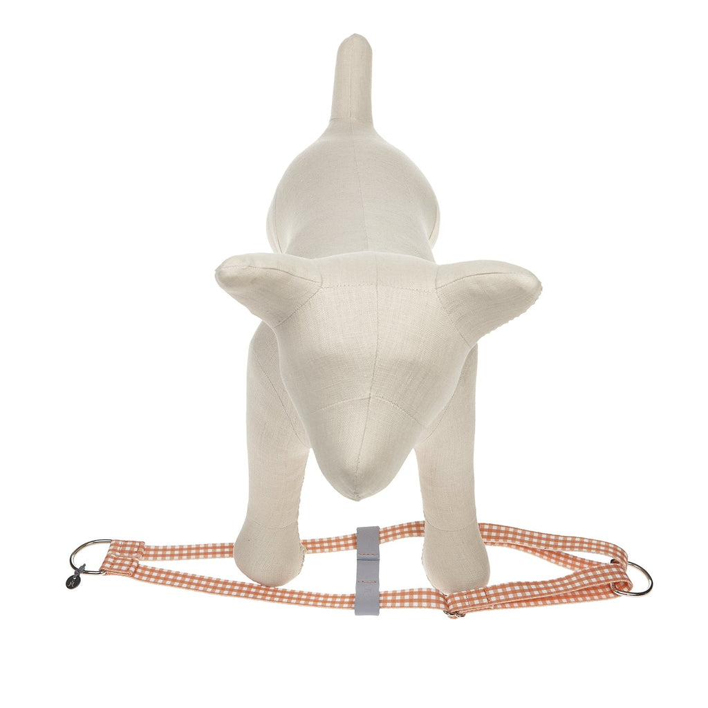 Ring-Hundegeschirr Clara Check