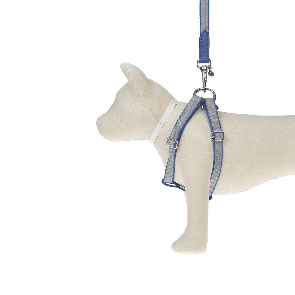 Ring Hundegeschirr Preppy