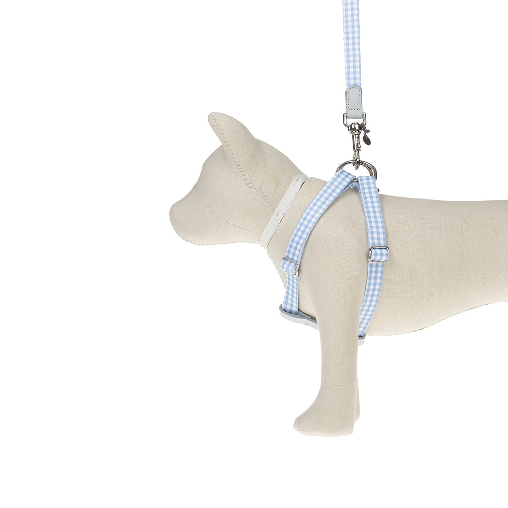 Ring-Hundegeschirr Clara Check