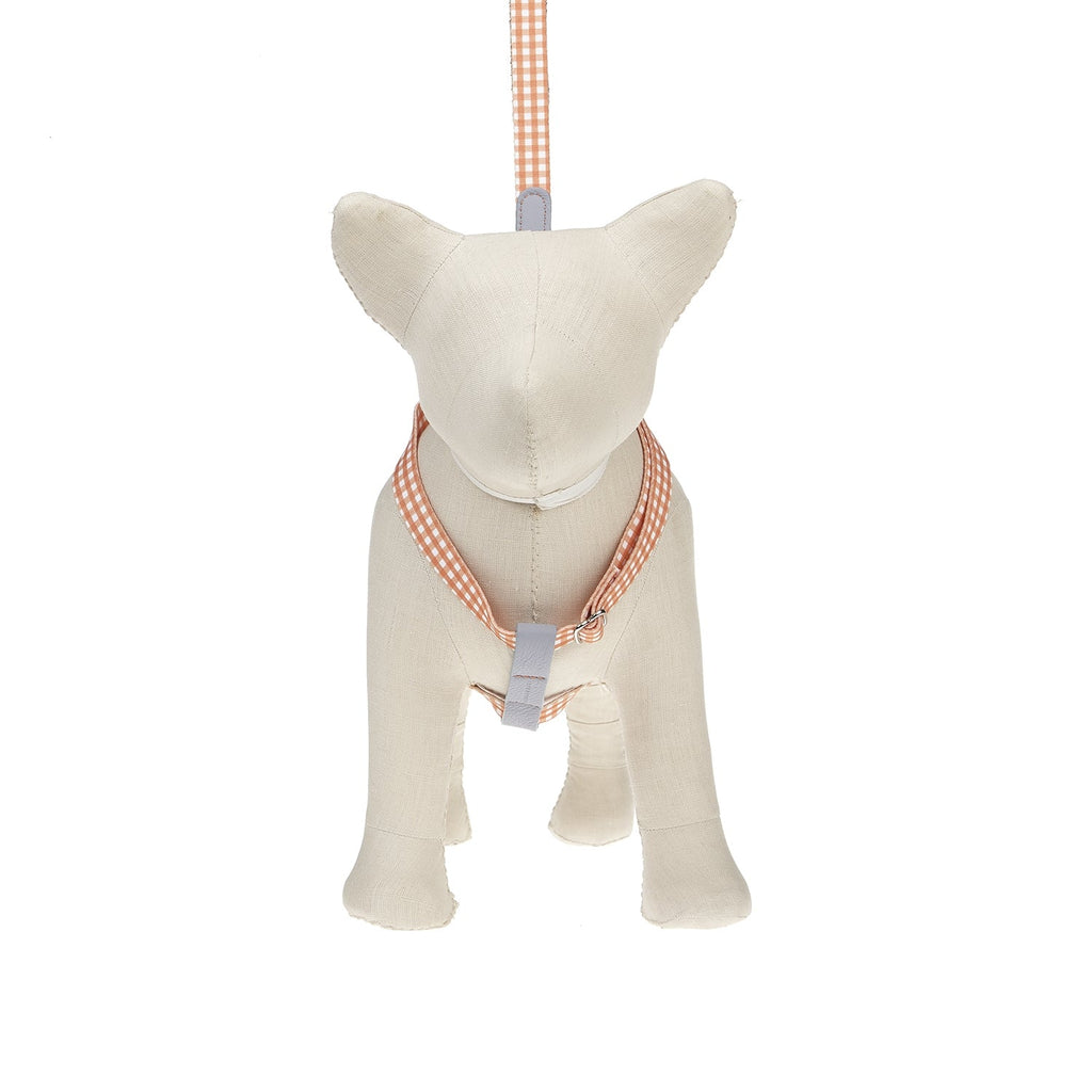 Ring-Hundegeschirr Clara Check