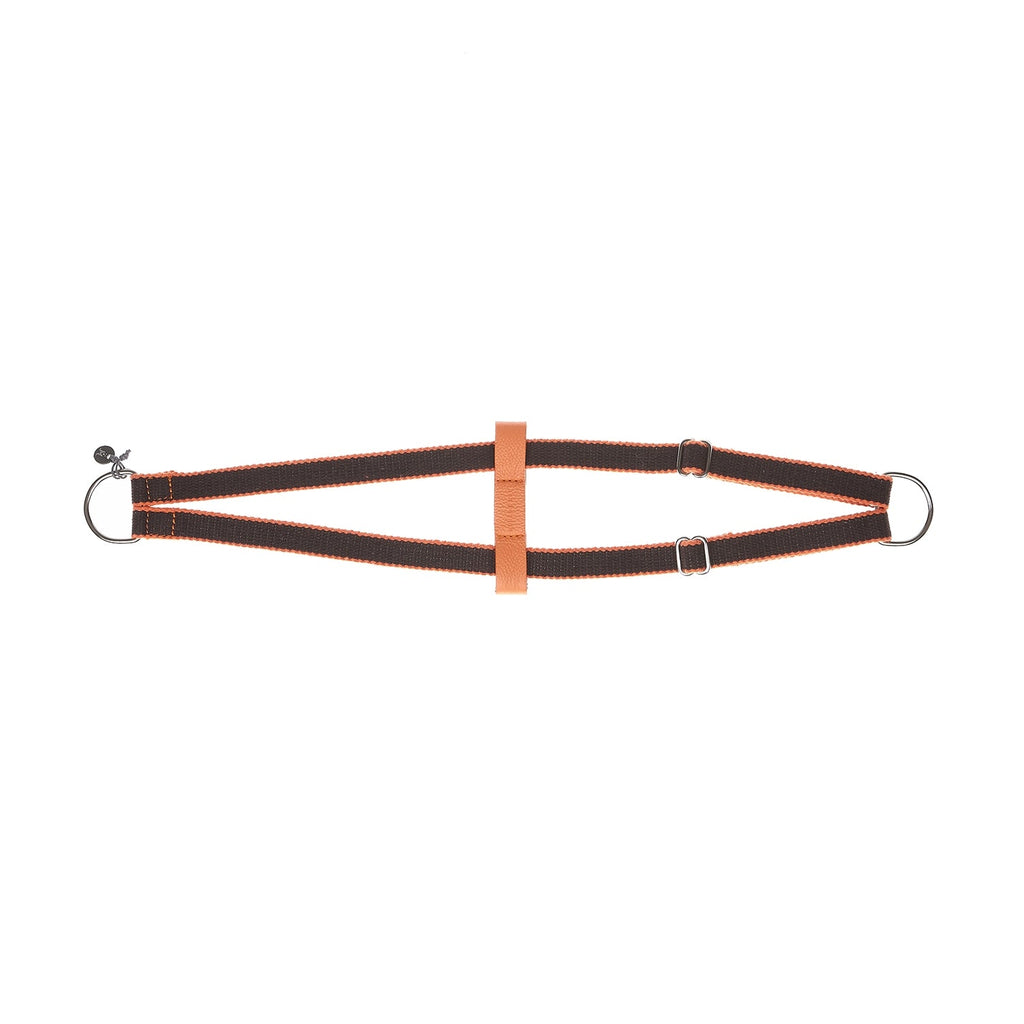 Ring Hundegeschirr Preppy