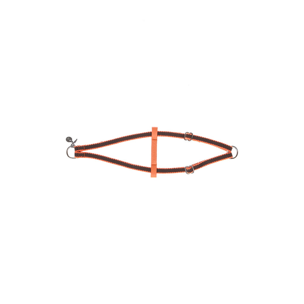 Ring Hundegeschirr Preppy