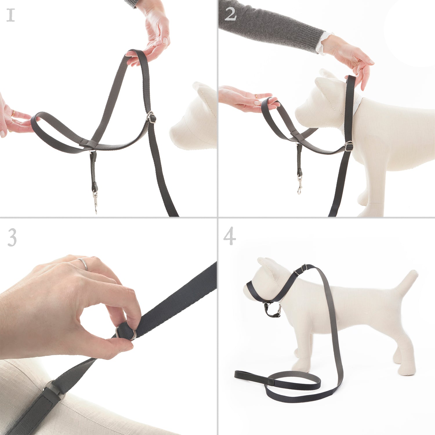 Folge meiner Führung - Kopf