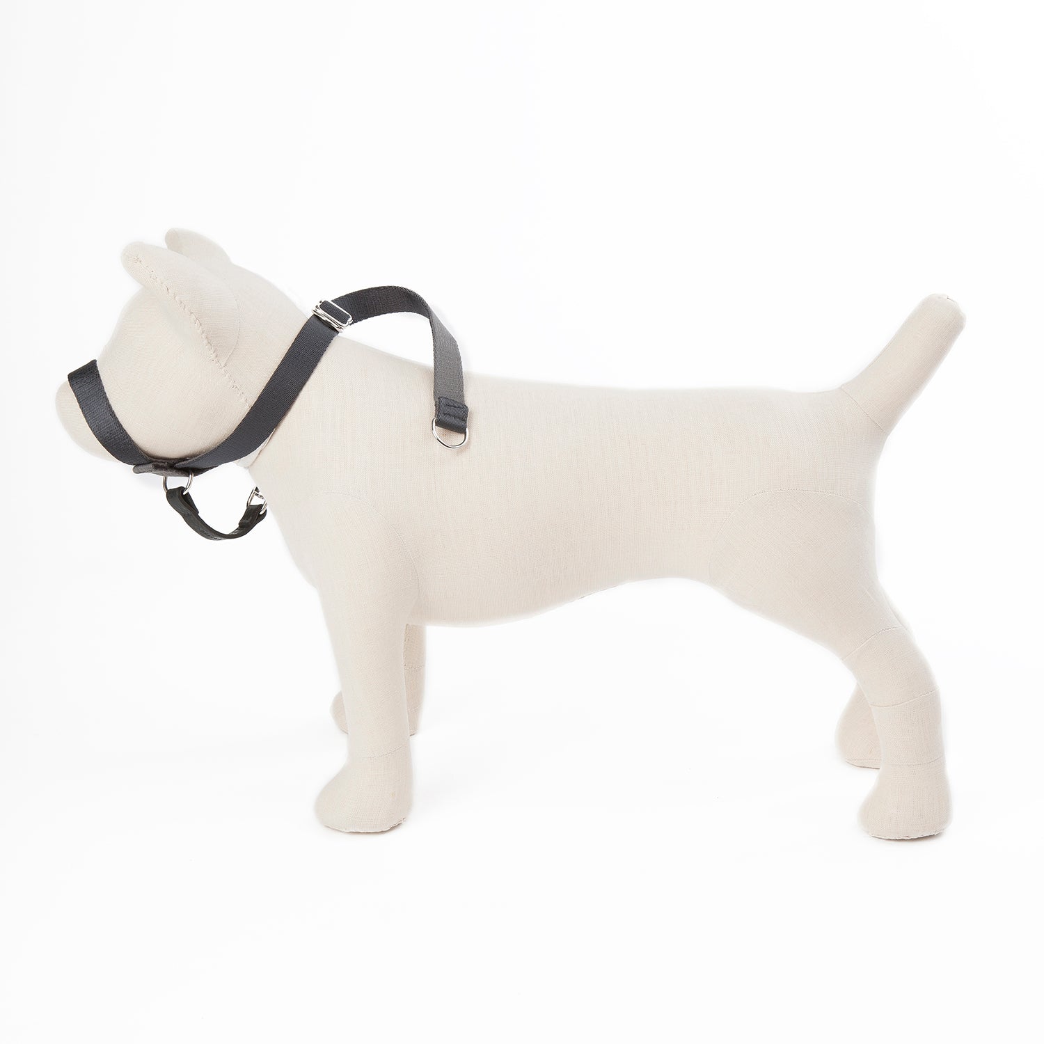 Folge meiner Führung - Kopf