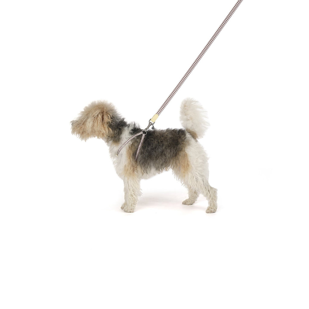 Ring-Hundegeschirr Clara Check