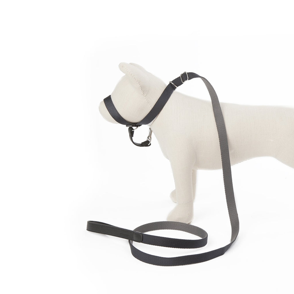 Folge meinem Beispiel