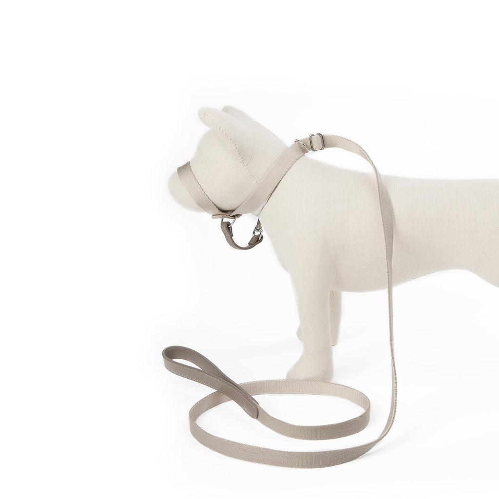 Folge meinem Beispiel