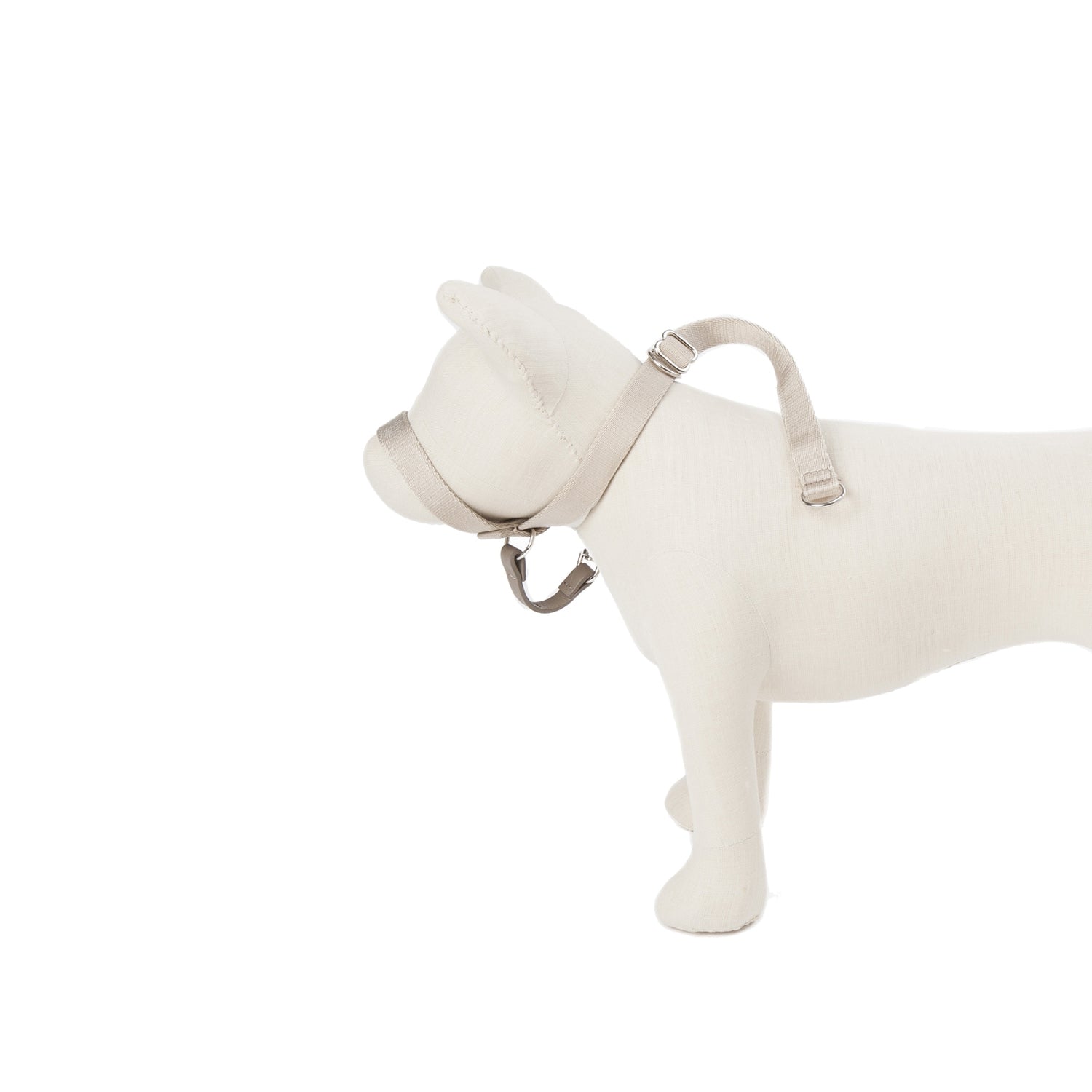 Folge meiner Führung - Kopf