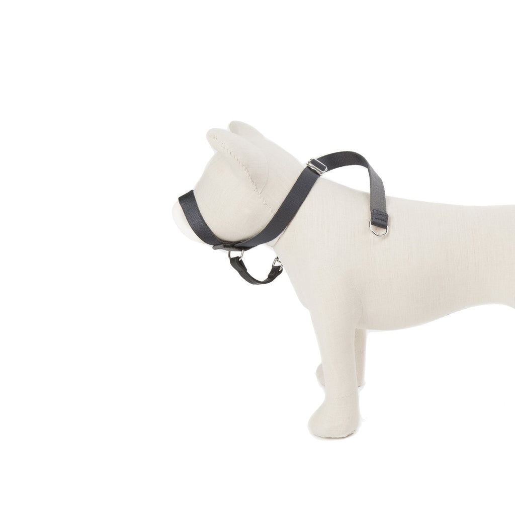 Folge meiner Führung - Kopf